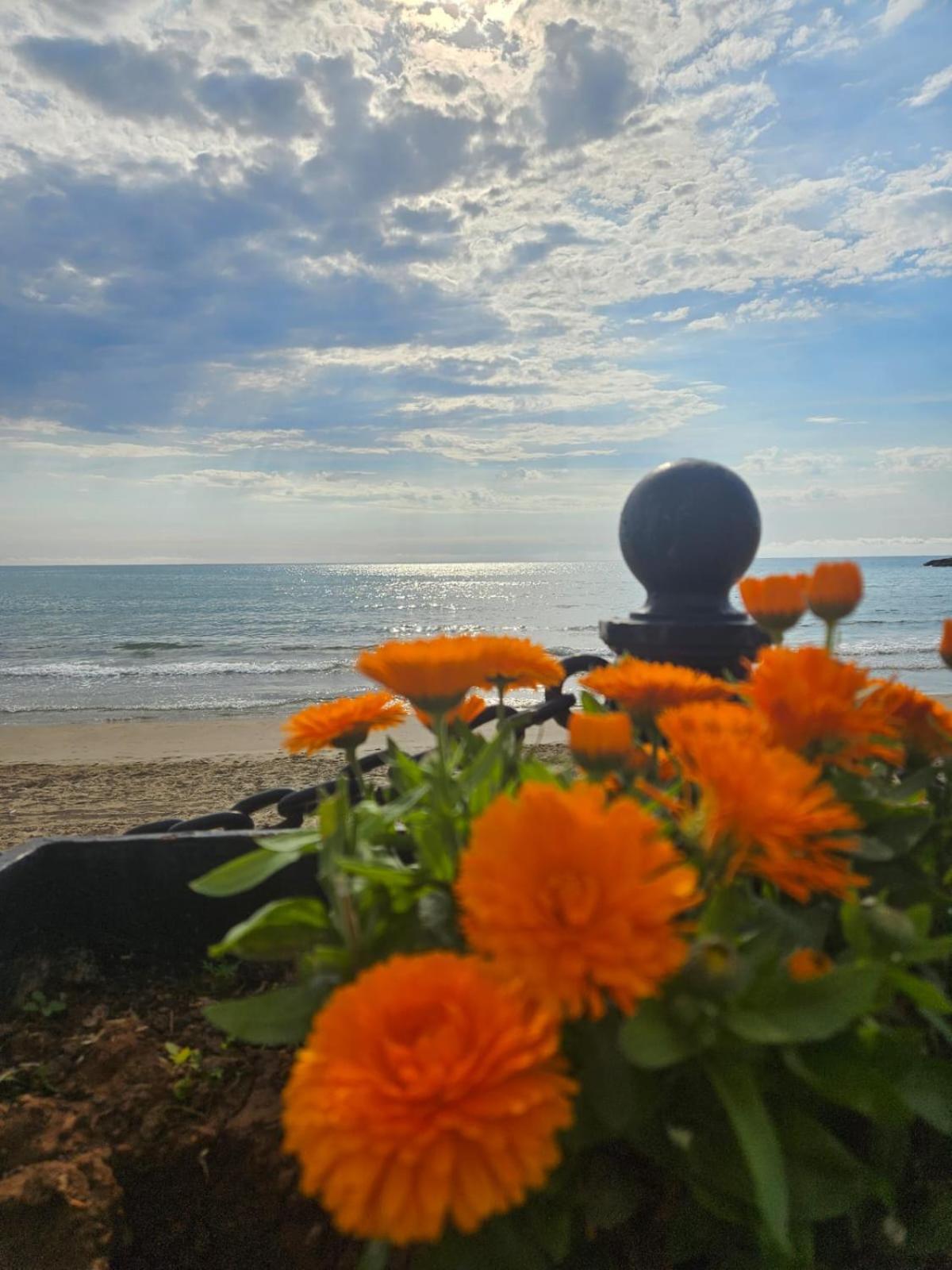 Mondrian Magic World - Sea View First Line Of The Beach オロペサ・デル・マール エクステリア 写真