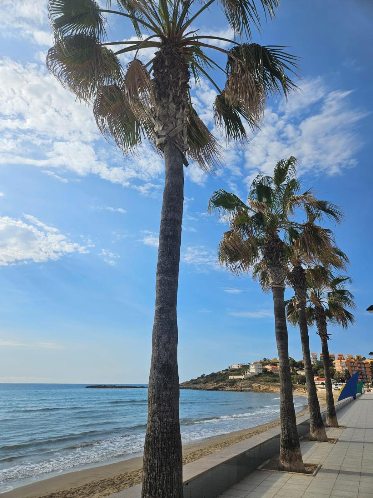 Mondrian Magic World - Sea View First Line Of The Beach オロペサ・デル・マール エクステリア 写真